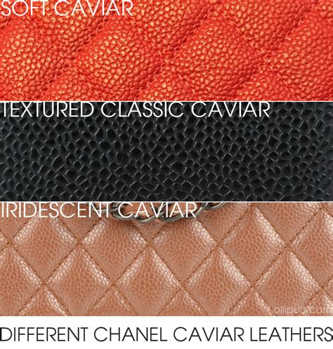 caviar skin chanel|Chanel Caviar Leather Reference Guide .